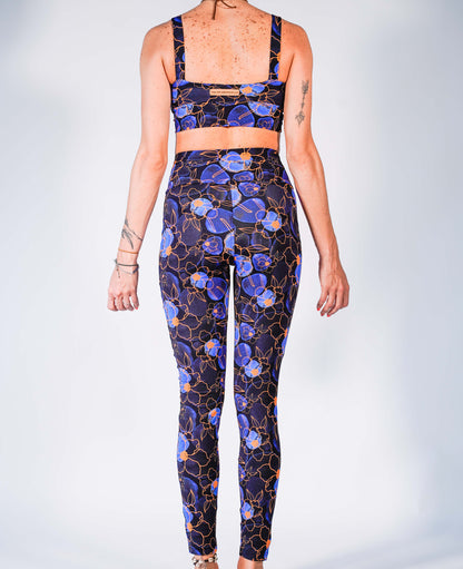 Conjunto "Element"